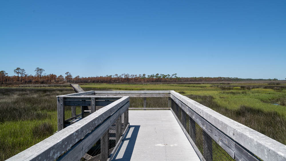 Bald Point State Park boardwalk