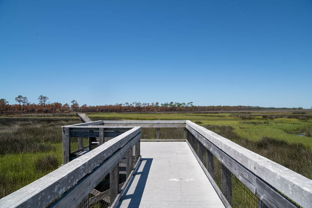 Bald Point State Park boardwalk