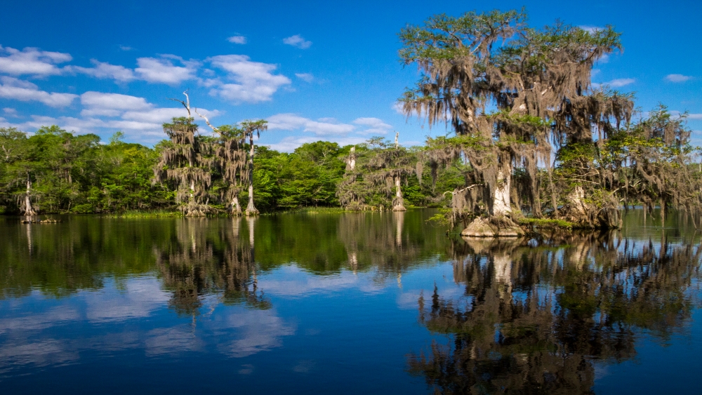 wakulla springs