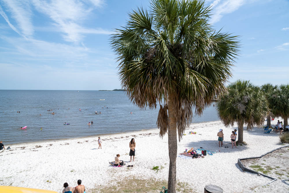 Lil Shark Park Cedar Key